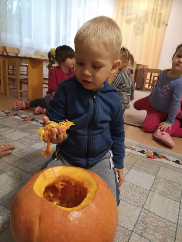 IMG_20191030_093945